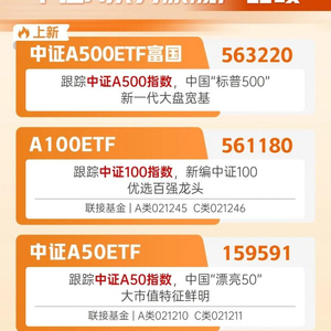 2025新澳正版免費(fèi)資料大全,探索未來(lái)，2025新澳正版免費(fèi)資料大全與精細(xì)化執(zhí)行計(jì)劃詳解,綜合數(shù)據(jù)解析說(shuō)明_斬版49.34.32