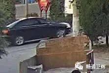 撞死網(wǎng)紅狼司機(jī)疑似未主動(dòng)救治