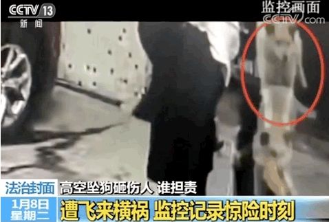 西安被狗襲擊4歲男童已度過危險期