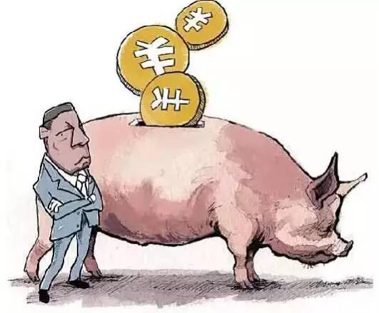 澳門天天彩精準資料大全自動更新,主人殺年豬 狗狗偷吃豬肉被撐死