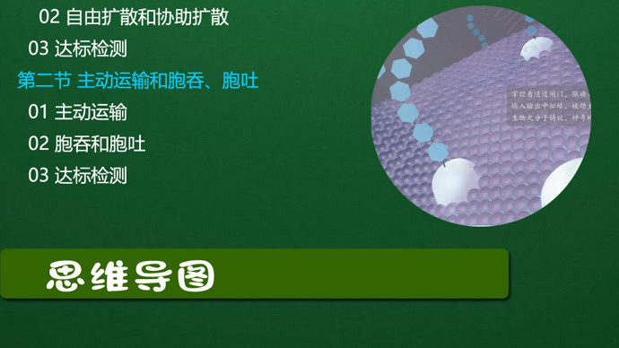 打開澳門網(wǎng)資料,新技術(shù)可高效標(biāo)記細(xì)胞蛋白質(zhì)