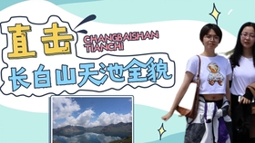 管家婆的神秘預(yù)測(cè)與資鄧少成的傳奇故事