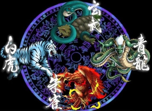 全網準資料寶庫，朱雀網45094的奧秘與探索