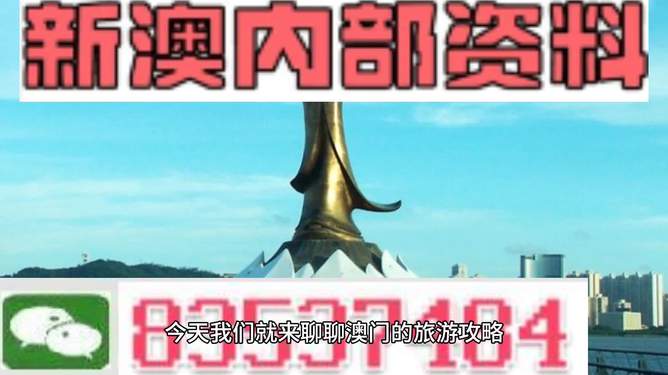 新澳精準(zhǔn)資料免費(fèi)提供，探索與分享的第219期