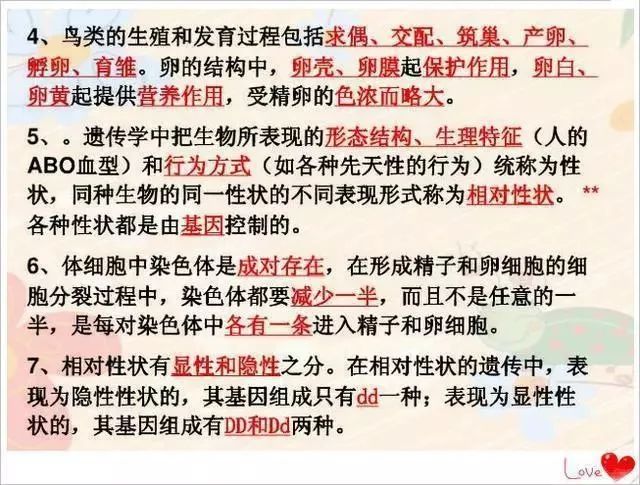 正牌資料全年資料大全，探索知識的海洋