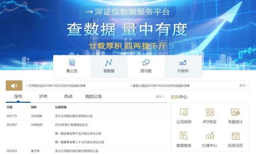 新澳門六開獎結(jié)果資料查詢，最新消息與探索