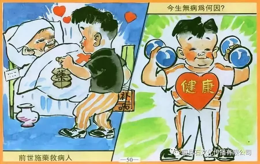 高清跑狗圖解，探索跑狗運動的世界